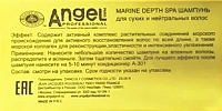 ANGEL PROFESSIONAL Шампунь для сухих и нейтральных волос / Angel Professional 10000 мл, фото 3