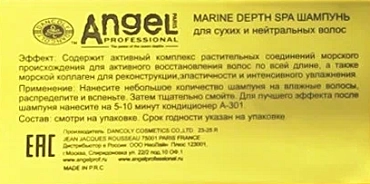 ANGEL PROFESSIONAL Шампунь для сухих и нейтральных волос / Angel Professional 10000 мл