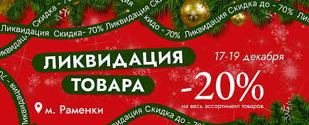 Ликвидация Мичуринский