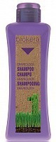Шампунь с маслом виноградной косточки для волос / BIOKERA Grapeology 300 мл, SALERM COSMETICS