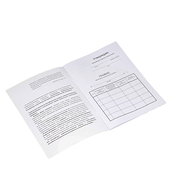 ЧИСТОВЬЕ Журнал учета генеральных уборок, фото 2