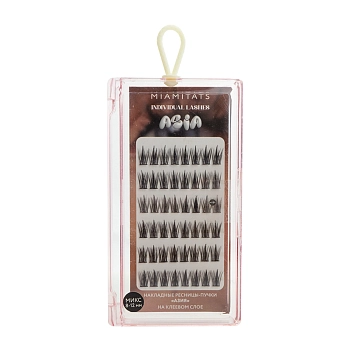Ресницы-пучки накладные / INDIVIDUAL LASHES ASIA 1 шт