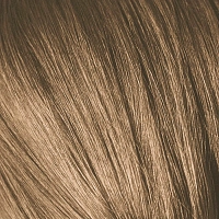 SCHWARZKOPF PROFESSIONAL 8-00 краска для волос Светлый русый натуральный экстра / Igora Royal Extra 60 мл, фото 1