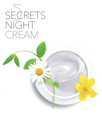 DECLARE Крем восстанавливающий ночной 5 секретов / 5 Secrets Night Cream 50 мл