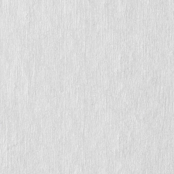 ЧИСТОВЬЕ Салфетка спанлейс 5*5 см белый 100 штук, фото 3