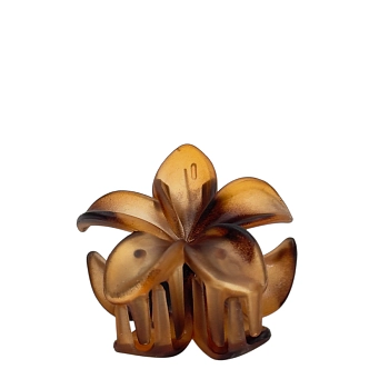 IWOU PROFESSIONAL Краб для волос малый Франжипани коричневый матовый 4*4см 2шт, фото 2