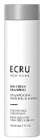 ECRU New York Шампунь интенсивно очищающий / Sea Clean Shampoo 60 мл, фото 1