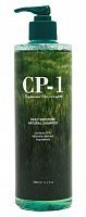ESTHETIC HOUSE Шампунь натуральный увлажняющий для волос / CP-1 Daily Moisture Natural Shampoo 500 мл, фото 1