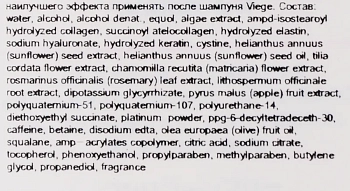 LEBEL Спрей для укрепления корней волос / Viege Root Care Mist 180 мл, фото 3