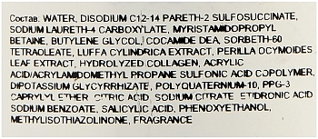 LEBEL Шампунь восстанавливающий для волос и кожи головы / Viege Shampoo 240 мл, фото 3