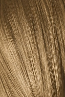 SCHWARZKOPF PROFESSIONAL 8-50 краска для волос Светлый русый золотистый натуральный / Игора Роял Абсолют 60 мл, фото 1