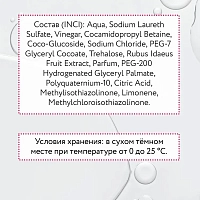 ARAVIA Шампунь с малиновым уксусом и трегалозой / Hair System Raspberry Vinegar Shampoo 420 мл, фото 6