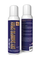BEAUTYDRUGS Шампунь сухой для волос / BEAUTYDRUGS Dry Shampoo Spray 150 мл, фото 2