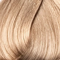 10.32 краска для волос, очень светлый золотисто-фиолетовый блондин / AAA 100 мл