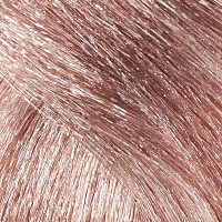 CONSTANT DELIGHT 9/62 краска с витамином С для волос, блондин шоколадно-пепельный 100 мл, фото 1