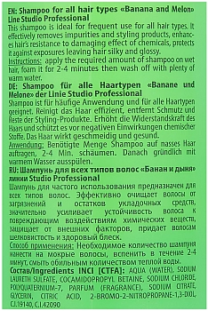 KAPOUS Шампунь для всех типов волос Банан и дыня / Aromatic Symphony 350 мл, фото 2