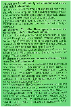 KAPOUS Шампунь для всех типов волос Банан и дыня / Aromatic Symphony 350 мл