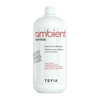 Шампунь для глубокой очистки волос / AMBIENT Service 1000 мл, TEFIA
