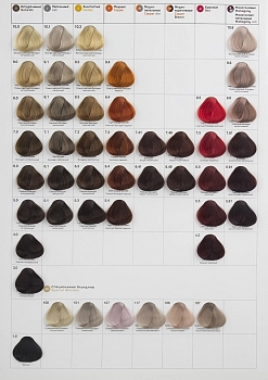 TEFIA 1.0 краска для волос, черный / Mypoint 60 мл, фото 3