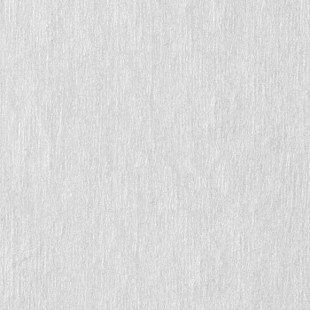 ЧИСТОВЬЕ Салфетка спанлейс 10*10 см белый 100 шт/уп, фото 3