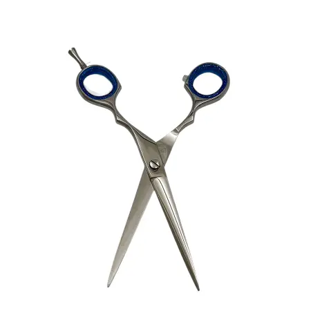 IWOU PROFESSIONAL Ножницы парикмахерские прямые 6,5 с бирюзовыми ручками - 1