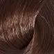 ESTEL PROFESSIONAL 6/3 краска для волос, темно-русый золотистый (кленовый) / ESSEX Princess 60 мл, фото 1