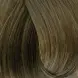 TAHE 8 краситель перманентный для волос / Organic Care Permanent Color Light blonde 100 мл, фото 1