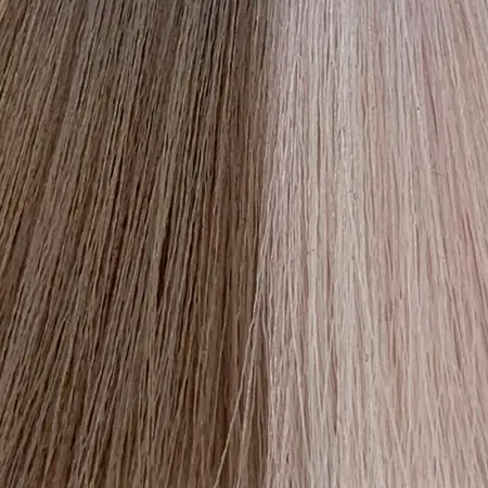 GERA Professional 10.21 гель-краситель для волос без аммиака / Shine Shades 60 мл - 1
