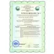 INNOVATOR COSMETICS Состав для ламинирования ресниц / ONE STEP BOND BUILDER IC FACTORY 5 мл, фото 8
