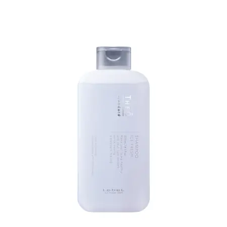 LEBEL Шампунь освежающий для мужчин / THEO Standard SHAMPOO ICE FRESH 250 мл - 1