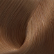 V-COLOR PROFESSIONAL 8.34 крем-краска перманентная, светло-русый золотисто-медный / DEMAX 60 мл, фото 1