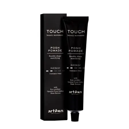 ARTEGO Помадка моделирующая для волос / Posh Pomade Touch 100 мл - 2