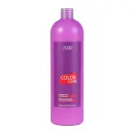 Шампунь-уход для окрашенных волос / Caring Line Color Care 1000 мл
