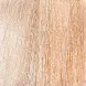 EPICA PROFESSIONAL 10 крем-краска для волос, светлый блондин / Colorshade 100 мл, фото 1