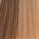 GERA Professional 10.24 гель-краситель для волос без аммиака / Shine Shades 60 мл, фото 1