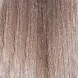 EPICA PROFESSIONAL 10.11 крем-краска для волос, светлый блондин пепельный интенсивный / Colorshade 100 мл, фото 1